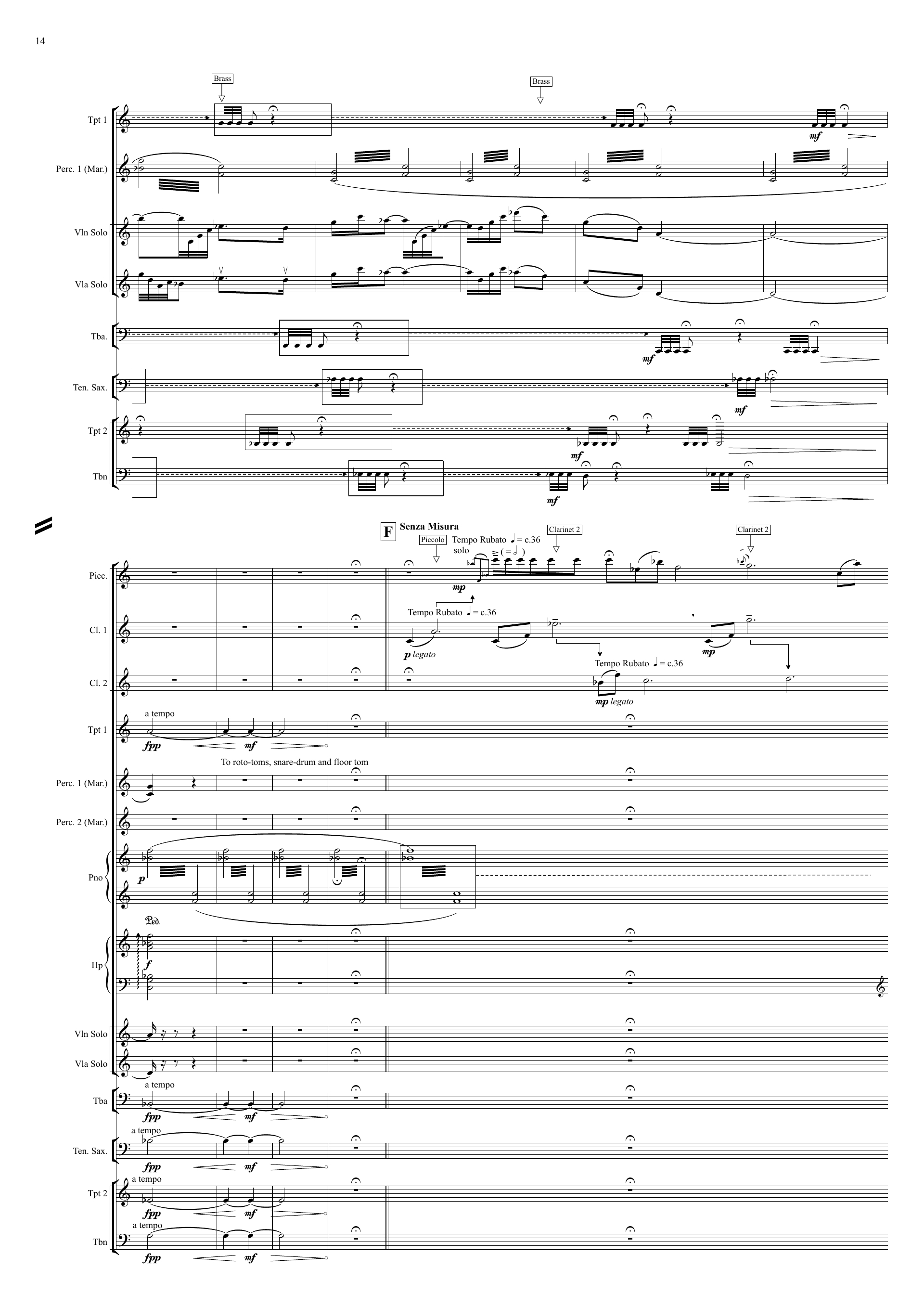 Christopher Best Panaura (2006) - Full score sample
